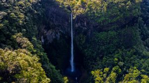 Black River Gorges National Park Tours, Mauritius