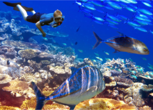 Things to Do in Mauritius