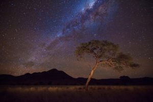 Things to Do in Namibia