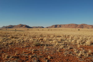 Things to Do in Namibia