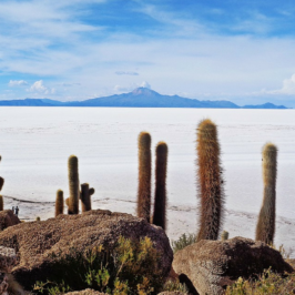 Top 10 things to do in Bolivia