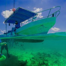 Best Places to Travel in March