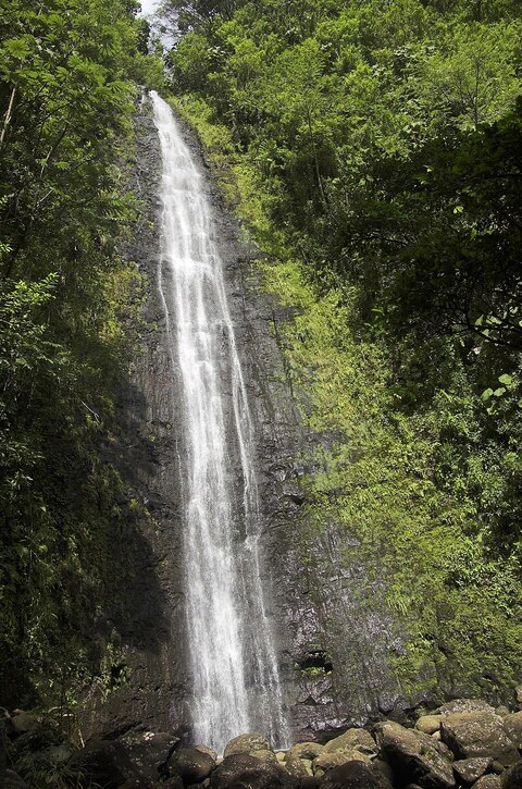 Manoa Falls Trail 